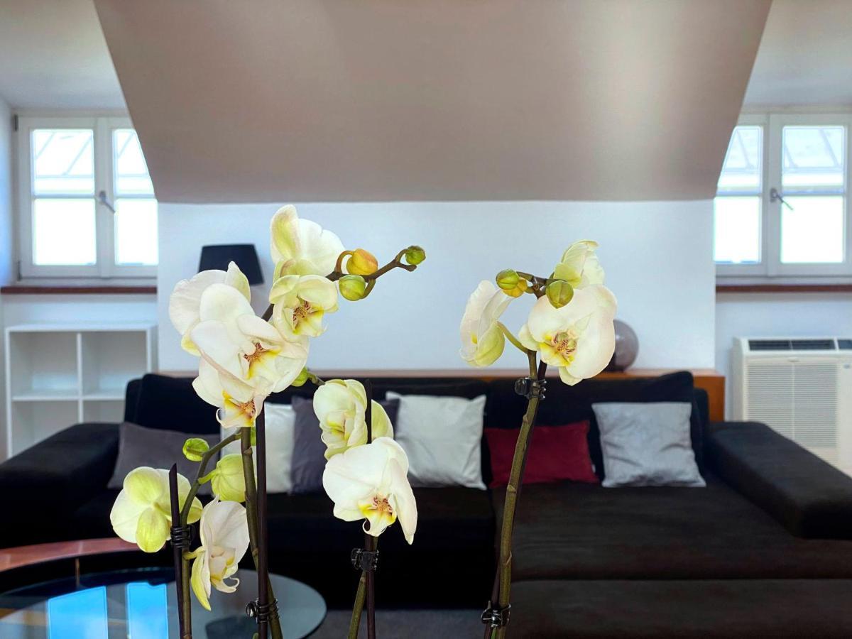 Apartman Ultimate Concierge Serviced Private Penthouse Apartment, In Altstadt Salzburg